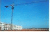 tower crane QTZ63 from SHANDONG MINGWEI HOISTING EQUIPMET CO.,LTD, ZIAN, CHINA